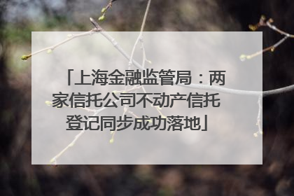 上海金融监管局：两家信托公司不动产信托登记同步成功落地