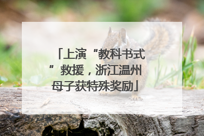 上演“教科书式”救援，浙江温州母子获特殊奖励