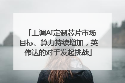 上调AI定制芯片市场目标、算力持续增加，英伟达的对手发起挑战