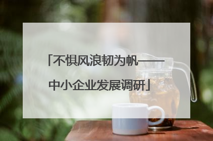 不惧风浪韧为帆——中小企业发展调研