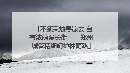 不须秉烛寻凉去 自有浓荫覆长街——郑州城管精细呵护林荫路
