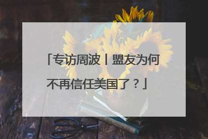 专访周波丨盟友为何不再信任美国了？