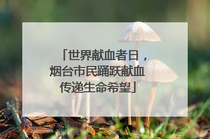 世界献血者日，烟台市民踊跃献血传递生命希望