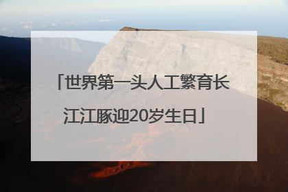 世界第一头人工繁育长江江豚迎20岁生日