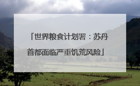 世界粮食计划署：苏丹首都面临严重饥荒风险