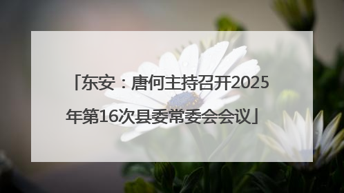 东安：唐何主持召开2025年第16次县委常委会会议