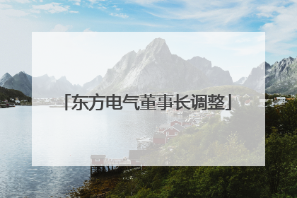 东方电气董事长调整