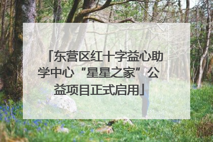 东营区红十字益心助学中心“星星之家”公益项目正式启用