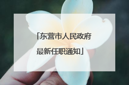 东营市人民政府最新任职通知