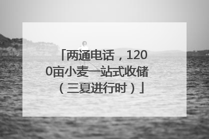 两通电话，1200亩小麦一站式收储（三夏进行时）
