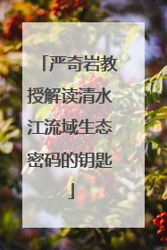严奇岩教授解读清水江流域生态密码的钥匙