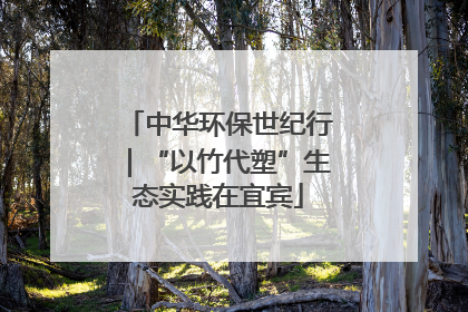 中华环保世纪行｜“以竹代塑”生态实践在宜宾