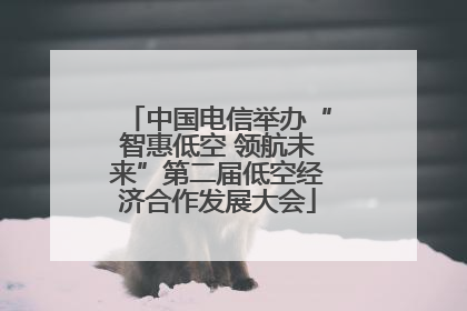 中国电信举办“智惠低空 领航未来”第二届低空经济合作发展大会