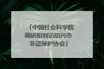中国社会科学院调研组到访绍兴市非遗保护协会