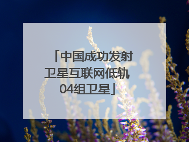 中国成功发射卫星互联网低轨04组卫星