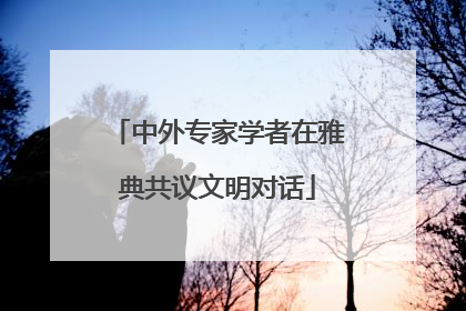 中外专家学者在雅典共议文明对话