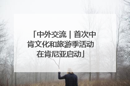 中外交流｜首次中肯文化和旅游季活动在肯尼亚启动