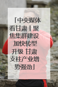 中央媒体看甘肃丨聚焦集群建设 加快转型升级 甘肃支柱产业增势强劲
