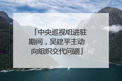 中央巡视组进驻期间，吴建平主动向组织交代问题