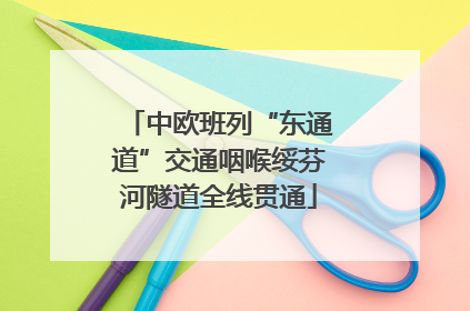 中欧班列“东通道”交通咽喉绥芬河隧道全线贯通