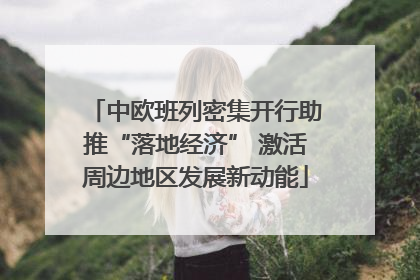 中欧班列密集开行助推“落地经济” 激活周边地区发展新动能
