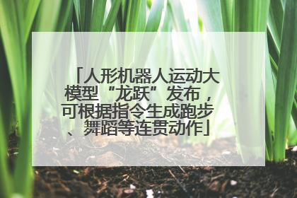 人形机器人运动大模型“龙跃”发布，可根据指令生成跑步、舞蹈等连贯动作