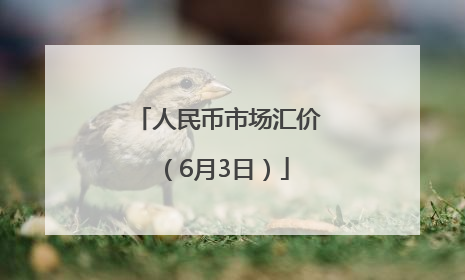 人民币市场汇价（6月3日）