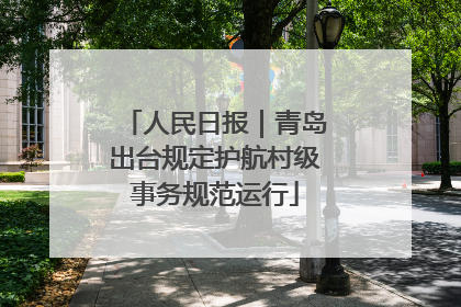 人民日报｜青岛出台规定护航村级事务规范运行