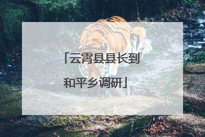 云霄县县长到和平乡调研