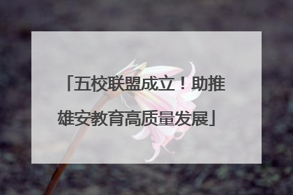 五校联盟成立！助推雄安教育高质量发展