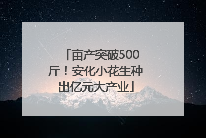 亩产突破500斤！安化小花生种出亿元大产业