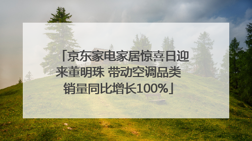 京东家电家居惊喜日迎来董明珠 带动空调品类销量同比增长100%