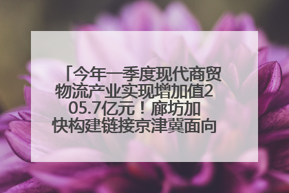 今年一季度现代商贸物流产业实现增加值205.7亿元！廊坊加快构建链接京津冀面向全世界的物流通道