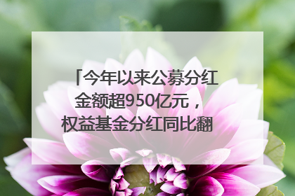 今年以来公募分红金额超950亿元，权益基金分红同比翻倍｜招财猫