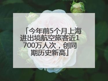 今年前5个月上海进出境航空旅客近1700万人次，创同期历史新高
