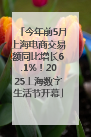 今年前5月上海电商交易额同比增长6.1%！2025上海数字生活节开幕
