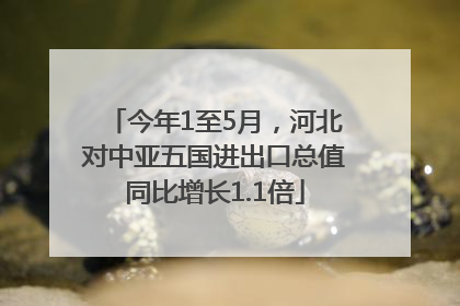 今年1至5月，河北对中亚五国进出口总值同比增长1.1倍