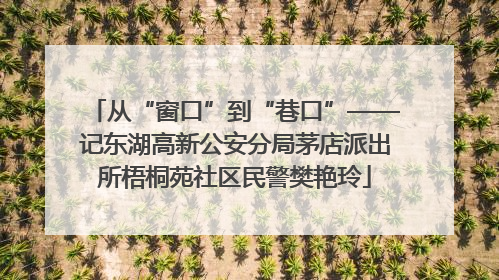 从“窗口”到“巷口”——记东湖高新公安分局茅店派出所梧桐苑社区民警樊艳玲