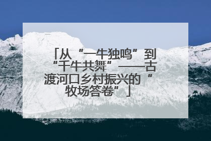 从“一牛独鸣”到“千牛共舞”——古渡河口乡村振兴的“牧场答卷”