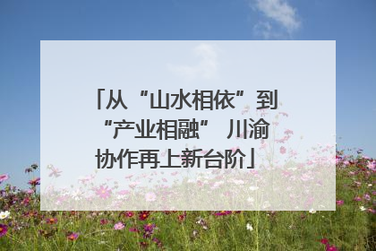 从“山水相依”到“产业相融” 川渝协作再上新台阶