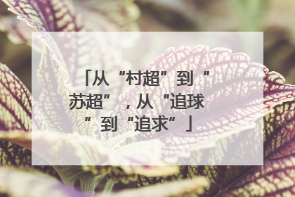 从“村超”到“苏超”，从“追球”到“追求”