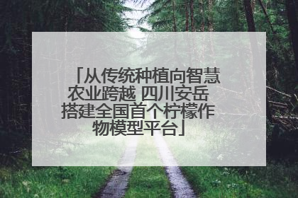 从传统种植向智慧农业跨越 四川安岳搭建全国首个柠檬作物模型平台