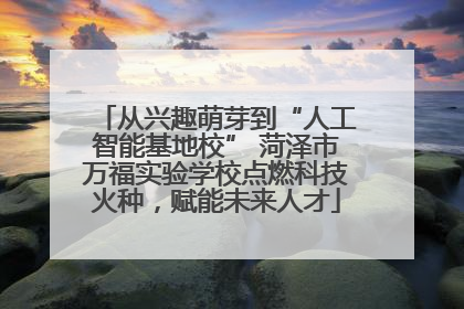 从兴趣萌芽到“人工智能基地校” 菏泽市万福实验学校点燃科技火种，赋能未来人才