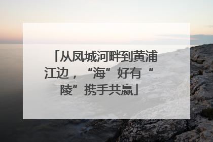 从凤城河畔到黄浦江边，“海”好有“陵”携手共赢