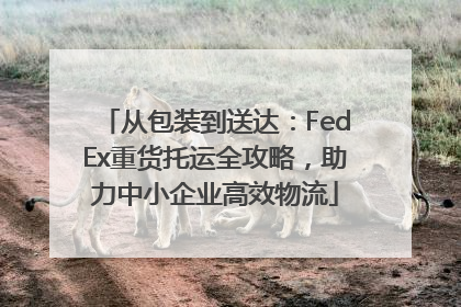 从包装到送达：FedEx重货托运全攻略，助力中小企业高效物流