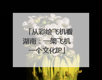 从彩绘飞机看湖南：一架飞机一个文化IP