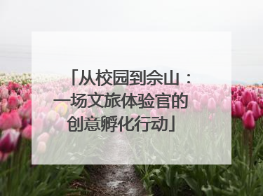 从校园到佘山：一场文旅体验官的创意孵化行动