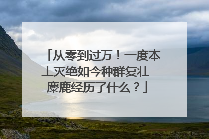 从零到过万！一度本土灭绝如今种群复壮 麋鹿经历了什么？
