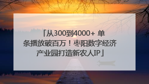 从300到4000+ 单条播放破百万！枣阳数字经济产业园打造新农人IP