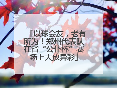 以球会友，老有所为！郑州代表队在省“公仆杯”赛场上大放异彩